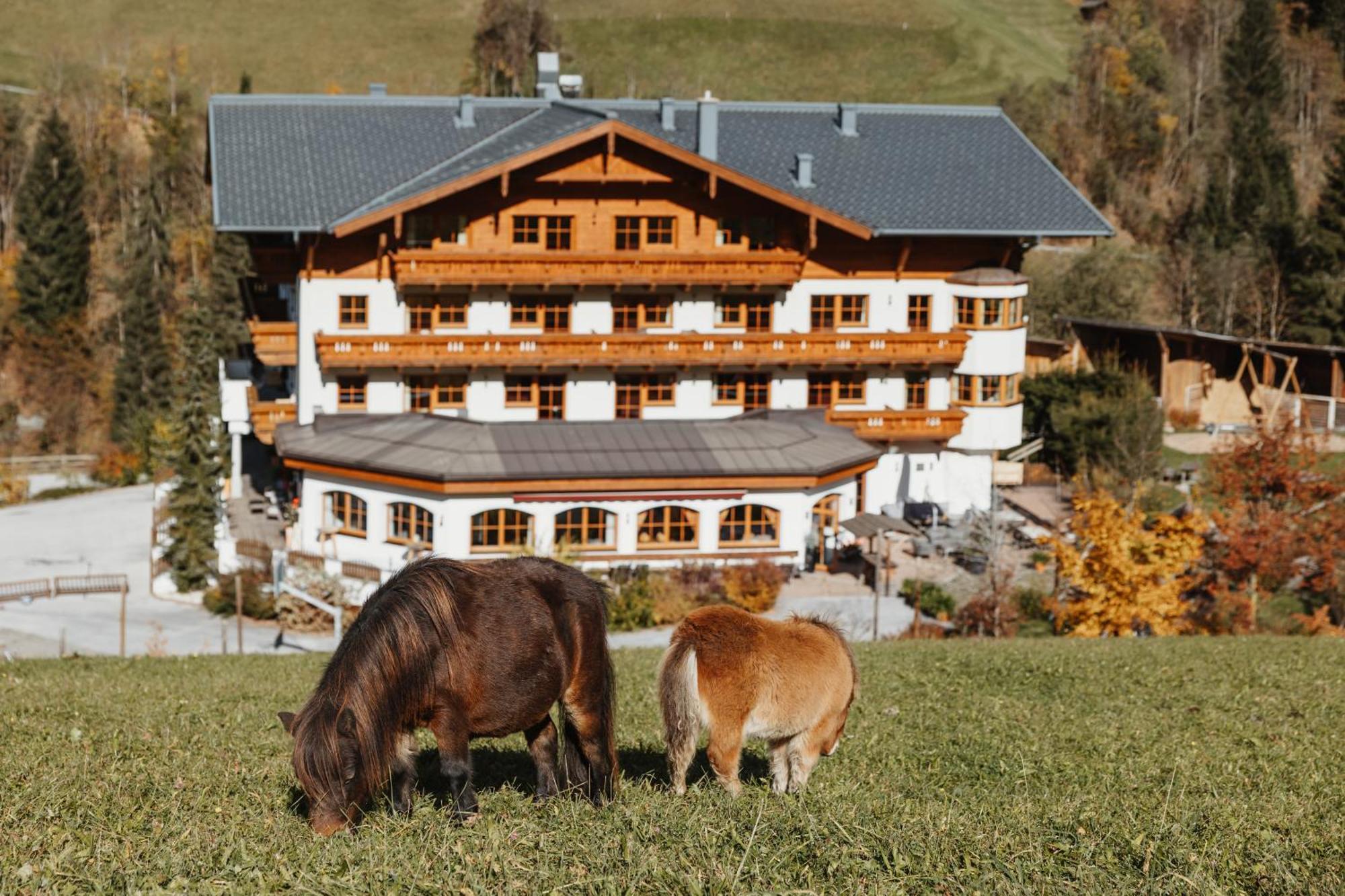 Hotel Lammwirt Grossarl Exteriör bild